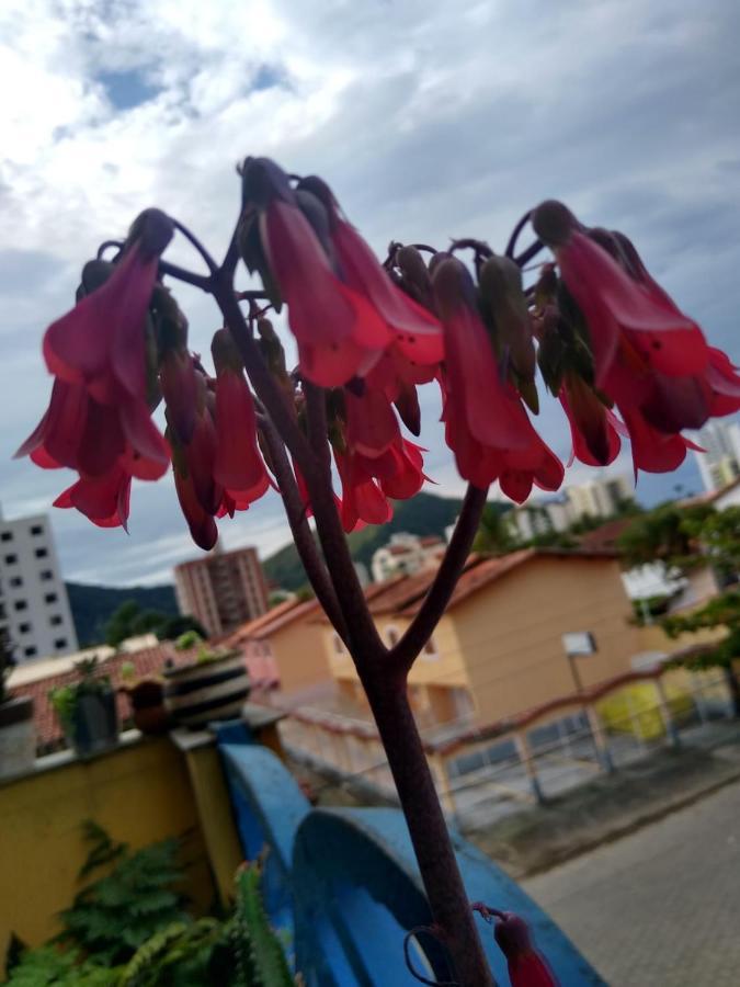 Apartamento Com Piscina Na Martim De Sa Caraguatatuba Kültér fotó